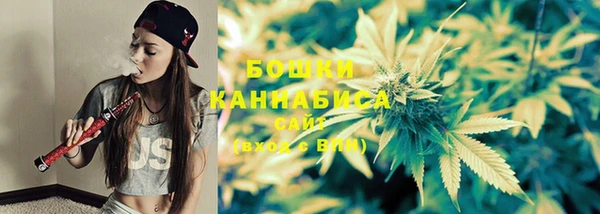 MESCALINE Аркадак