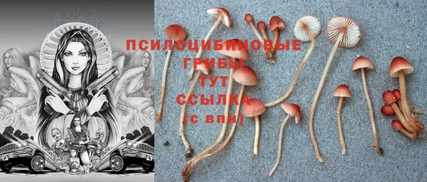 MESCALINE Аркадак
