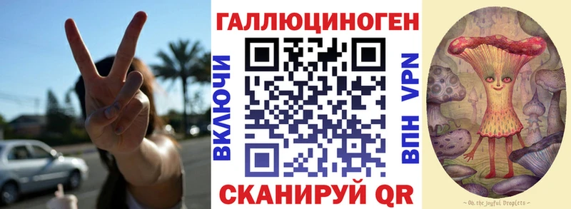 где купить наркоту  Инсар  кракен ссылки  Псилоцибиновые грибы мухоморы 