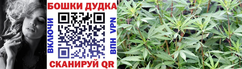 мега ссылки  дарнет шоп  Инсар  Марихуана тримм 